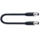 13462.jpg