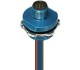 12679.jpg