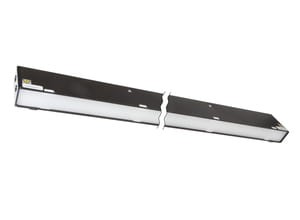 ipf_bin_AO98E123.jpg