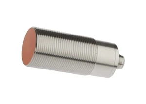 ipf_bin_IB990990.jpg