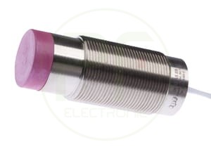ipf_bin_IN32A589.jpg
