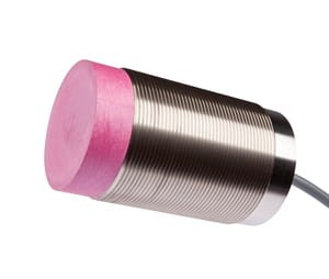ipf_bin_IN500151.jpg