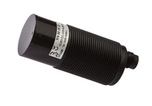 ipf_bin_KN990532.jpg