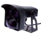 ipf_bin_RO710900.jpg