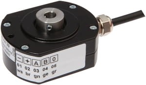 ipf_bin_VD98A439.jpg
