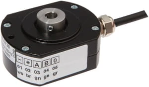 ipf_bin_VD98A439.jpg