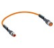 14703.jpg