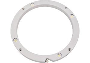 ipf_bor_EMB50171.png_bin.jpg