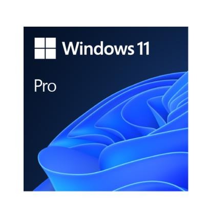 96SW-WIN11-64-EN20220309161040.jpg