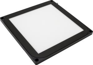 ipf_bor_ED300170.png_bin.jpg