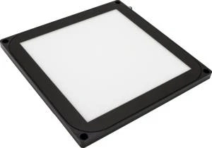 ipf_bor_ED300170.png_bin.jpg