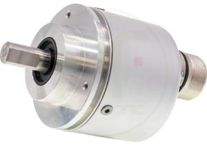 ipf_bor_VD58C320.png_bin.jpg