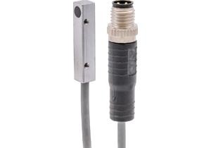ipf_bor_IBQ50176.png_bin.jpg
